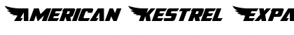 American Kestrel Expanded Expanded Font