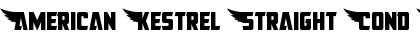 Download American Kestrel Straight Cond Font