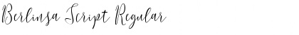 Berlinsa Script Font