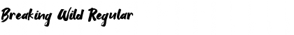 Download Breaking Wild Font Download Breaking Wild Font