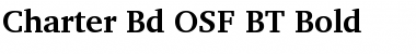 Charter Bd OSF BT Font