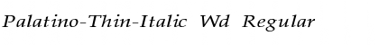Palatino-Thin-Italic Wd Regular Font