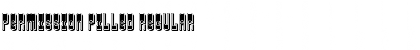Download Permission Filled Font Download Permission Filled Font