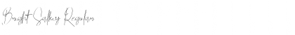 Download Bright Salkiy Font Download Bright Salkiy Font
