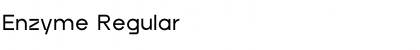 Download Enzyme Font Download Enzyme Font