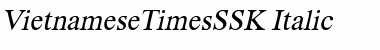 VietnameseTimesSSK Font