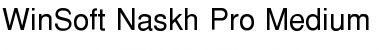 WinSoft Naskh Pro Medium Font