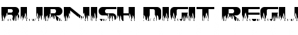 Burnish Digit Font