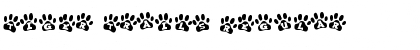 Download Tiger Trails Font