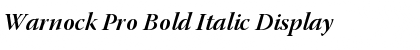 Warnock Pro Bold Italic Display Font