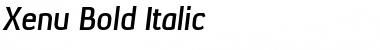 Xenu Bold Italic