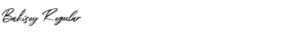 Download Bahisey Font