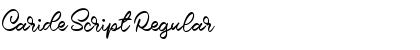 Download Caride Script Font