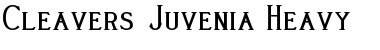 Cleaver's_Juvenia_Heavy Font