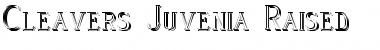 Cleaver's_Juvenia_Raised Regular Font