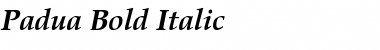 Padua Bold Italic Font