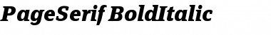 PageSerif-BoldItalic Regular Font