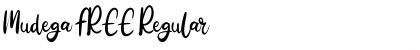 Download Mudega FREE Font