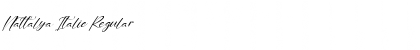 Download Nattalya Italic Font