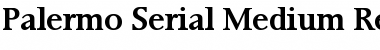 Palermo-Serial-Medium Regular Font