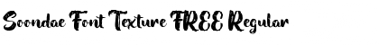 Soondae Font Texture FREE Regular Font