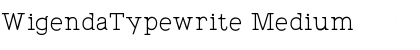 Download WigendaTypewrite Font