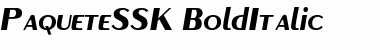 PaqueteSSK BoldItalic Font