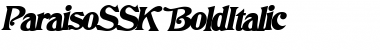 ParaisoSSK BoldItalic Font