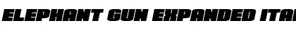 Download Elephant Gun Expanded Italic Font Download Elephant Gun Expanded Italic Font