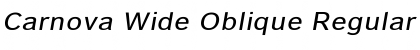 Carnova Wide Oblique Font