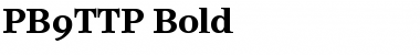 PB9TTP-Bold Regular Font