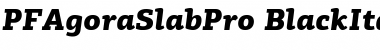 PF Agora Slab Pro Black Italic