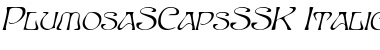 PlumosaSCapsSSK Italic Font