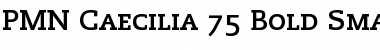 Caecilia LightSC Bold Font