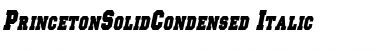 PrincetonSolidCondensed Italic Font
