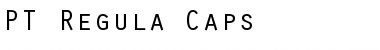 Download PT Regula Caps Font