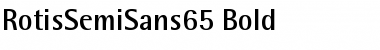 Download RotisSemiSans65 Font