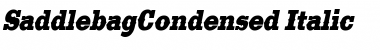 SaddlebagCondensed Italic Font
