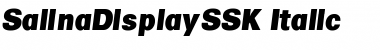 SalinaDisplaySSK Font