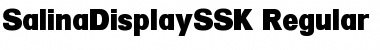 Download SalinaDisplaySSK Font