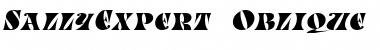 Download SallyExpert Font Download SallyExpert Font