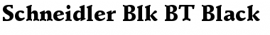 Schneidler Blk BT Black Font