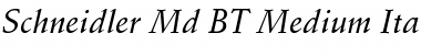 Schneidler Md BT Medium Italic Font