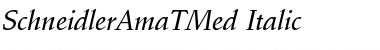 SchneidlerAmaTMed Italic Font