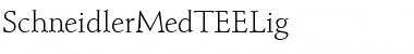 SchneidlerMedTEELig Regular Font