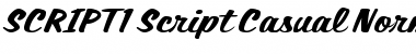 SCRIPT1 Script Casual Normal Font