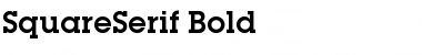 SquareSerif Bold Font