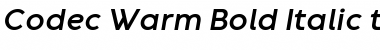 Codec Warm Trial Bold Italic Font