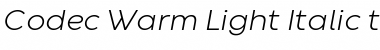 Codec Warm Trial Light Italic Font