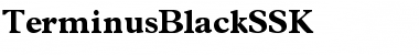 TerminusBlackSSK Regular Font